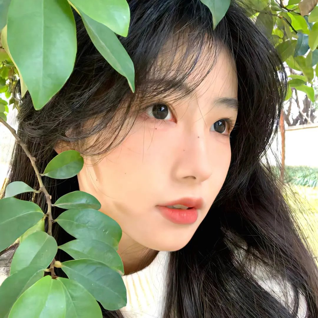 失落的宝藏